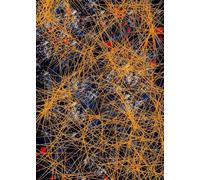 SGFGAD FHYWQ Jackson Pollock Poster Stampe a colori Abstract Wall Art Picture Gold Line Composition Jackson Pollock Canvas Painting For Home Decor 50x80cm senza cornice