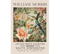 SGFGAD FHYWQ William Morris Poster Stampe a colori Immagine moderna di arte murale《Colibrì sull'albero dei fiori》William Morris Dipinto su tela per decorazioni domestiche 30x50 cm senza cornice