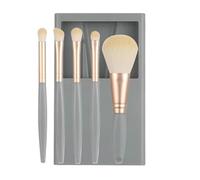 Sghtil Set di pennelli da trucco per donne, da viaggio, per make-up, set di pennelli da viaggio, con cassa e specchio, funzione completa per correttore di polvere di fondazione