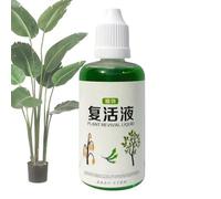 Sghtil Stimolante Radicale Per Piante | Agente Di Radicazione Per Fiori,50ml Liquido Organico Per Coltivazione Suolo E Compost