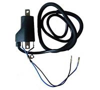 Sgr 12v Cc 4.0ohm 2 Fastons 100cm Ignition Coil Oro