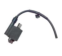 Sgr Honda Pcx 125 13-14 Ignition Coil Argento