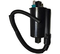 Bobina Kymco People One 12v-cc-2, 7 ohm-2 Fastons-Con Cavo Moto Motore Ricambi
