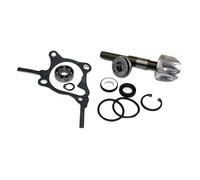Sgr Kit Di Revisione Della Pompa Dell`acqua Honda Foresight 250