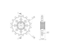 SGR PIGNONE R+2 AC P520-D15 APRILIA TUONO V4 FACTORY E3/E4/E5 1100 15/20