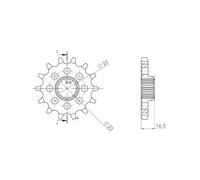 SGR PIGNONE S+2 AC P530-D15 DUCATI MULTISTRADA 1200/S 13-14