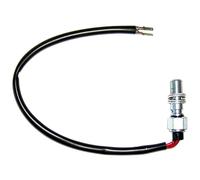 Sgr Pompa Del Carburante M10x1.0 4027827