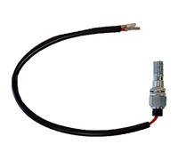 Sgr Pompa Del Carburante M10x1.25 4027829