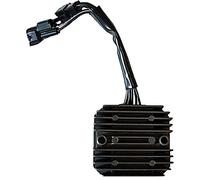 Sgr 12v Trifase Cc 7 Wires With 2 Conectores 4179265 Regulator/rectifier Argento
