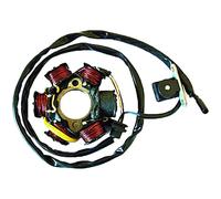 Sgr 6 Poles Pick-up Peugeot 50 130w Stator Giallo