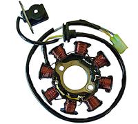 Sgr Statore 8 Poles Motor Kymco 50 2t