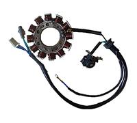 Statore: SGR Monofase 12 Poli Yamaha XT Moto Motore Ricambi Ciclomotore