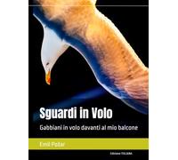 Sguardi in Volo: Gabbiani in volo davanti al mio balcone