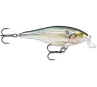 SHAD Rap Media Agua 9 CM SB