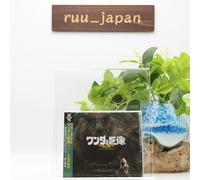 Shadow of the Colossus: Roar of the Earth CD Nuovo