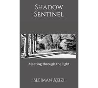 Shadow Sentinel: Meeting through the light