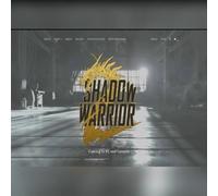Shadow Warrior 2 (PC) GOG.com Key - GLOBAL