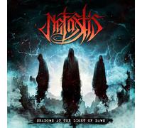 shadows at the light of dawn