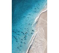 Shadows Beneath the Waves: A Coastal Thoughts Journal