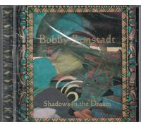 Shadows in The Dream by Bobby Ronstadt