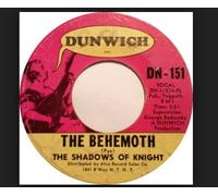 SHADOWS OF KNIGHT - willie jean / behemoth 45 rpm single