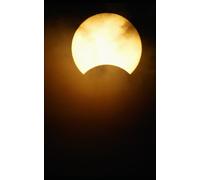 Shadows of the Mate: Who Can You Trust ?