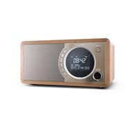 SHADR450BR 4974019975887 SHARP DR-450(BR) - RADIO DIGITALE - DAB/DAB+ - LCD MONO