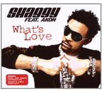 Shaggy Feat.Akon - What'S Love