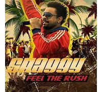Shaggy - Feel the Rush
