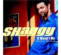 Shaggy - It Wasn't Me