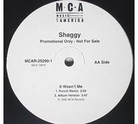 Shaggy - It Wasn't Me