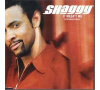 Shaggy - It Wasn't ME