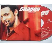 Shaggy - It Wasn'T Me