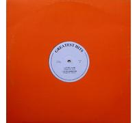 Shaggy / Stevie Wonder / Big Punisher - Greatest Hits