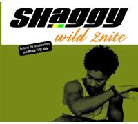 Shaggy - Wild 2nite Pt 1