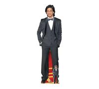 Shah Rukh Khan Lungo Capelli Grandezza Naturale Sagoma di Cartone Gratuito Mini