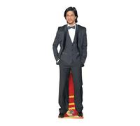 Shah Rukh Khan Mini Cardboard Cutout Celebrità Standee - Bollywood