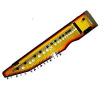 SHAHI BAAJA strumento molto strano per chitarra elettrica, dulcimare e arpa indiana