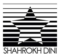 Shahrokh Dini - Change Arman Shahrokh Dini 12"
