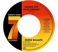 shake off that dream - try something new