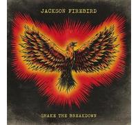 SHAKE THE BREAKDOWN - JAKSON F