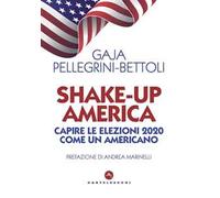 Shake-up America. Capire le elezioni 2020 come un americano