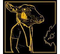 Shakey Graves – Roll the Bones X – CD – Edizione 10° Anniversario – Digipak