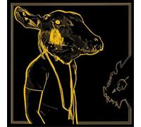 Shakey Graves Roll the Bones X (Vinyl LP) 10th Anniversary 12" Album