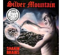 shakin brains (vinyl lp)