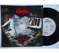 SHAKIN LIKE A LEAF 7" (VINYL 45) UK EPIC 1987