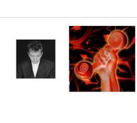Shaking The Tree 16 Golden Greatest Hits - Secret World Live - Peter Gabriel Greatest Hits Live Album Bundling