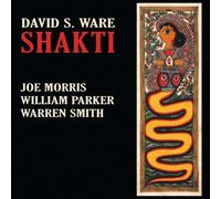 Shakti by Ware, David S (2009-01-27)