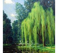 SHALLOW RIVERS - TALES TOLD UNDER THE WILLOW - CD - K72z