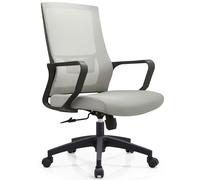 Shally Dogan Sedia da Ufficio Ergonomica Girevole con Supporto Lombare, Poltrona